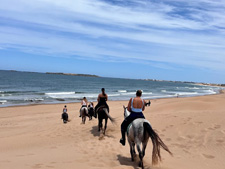 Morocco-Morocco-Beaches, Forests & Desert Waterfalls